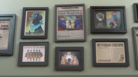 A Short Animated Film, Dog Story, Animal Lovers