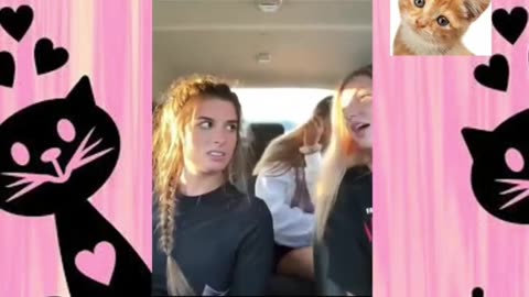 funny videos