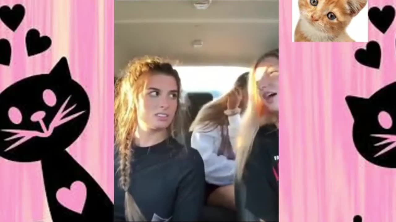 funny videos