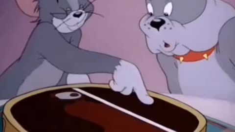 Tom and jerry fight clup 3 🤭😻
