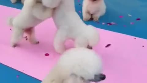 Watch till the end don't scroll