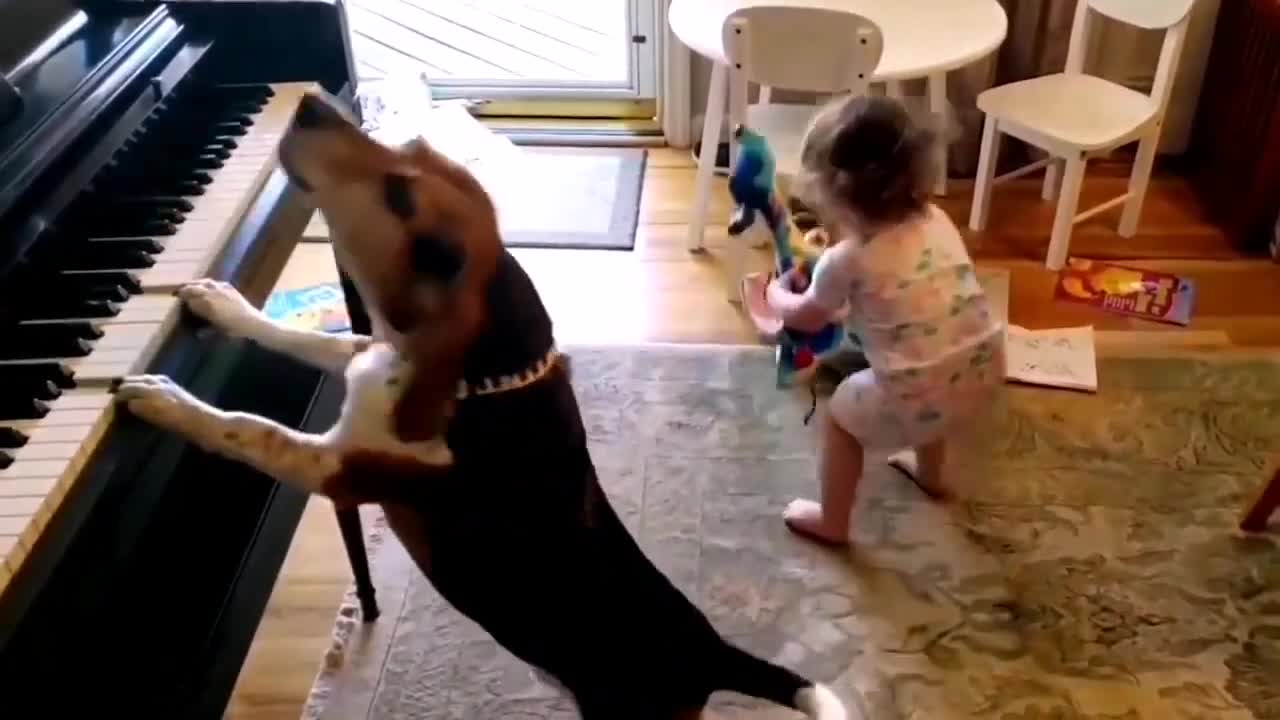 Funniest Animals Videos - Best Cute Cats😹 and Crazy Dogs🐶 Videos 2022! _ FUNNY ANIMALS' SOCIETY