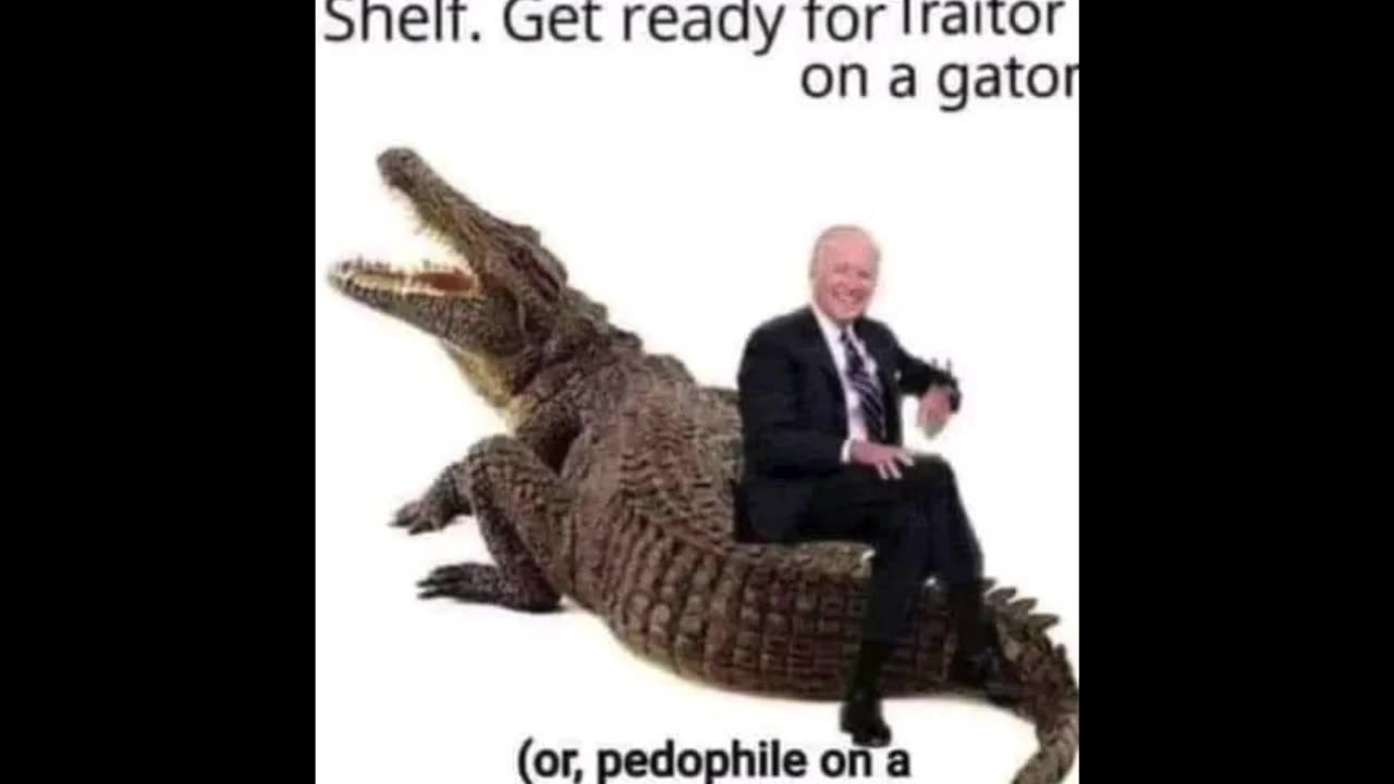 Random Memes 672