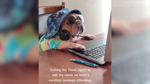 Funniest Animal Videos😂 - Funny Cats😹 and Crazy Dogs🐶 Videos 202