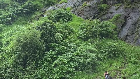 वाटर