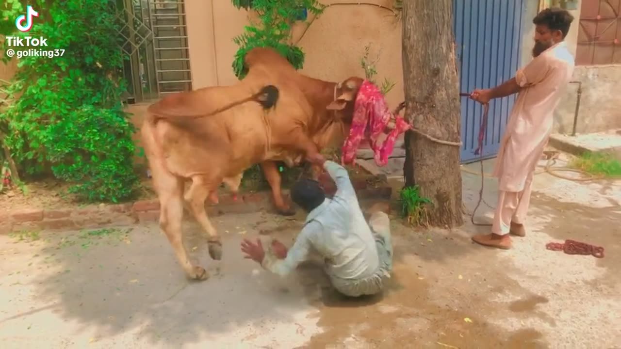 Eid Day
