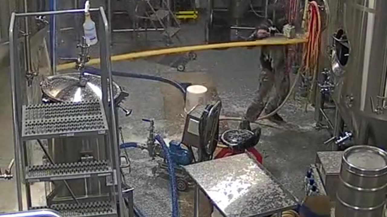 It's only beer right