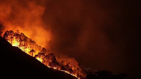 Wild Fire