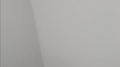 Mayor says city preparing to 'manage' scores of migrants sleeping 😴 on streets