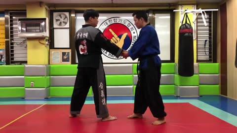 Hapkido