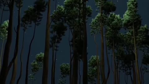 Song status videos