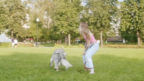 dog training dog learning