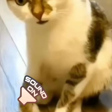 Sound on... 🤣🤣🤣🤣🤣