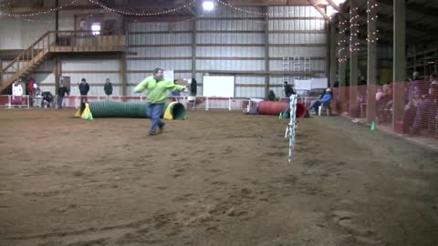 Dog Agility Weave Poles and Tunnels