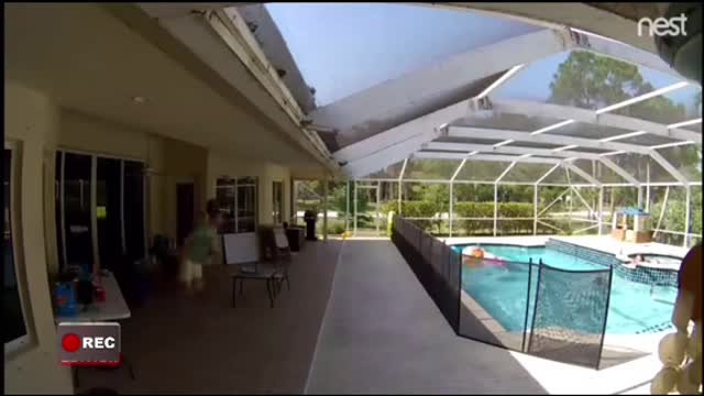 “Heroic Dad ”Dives Over Fence to Rescue Toddler