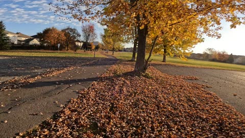 🚮 Helping Out @ Bridle Park In Ottawa 🍁 Canada 🍃Fall Edition 🍂