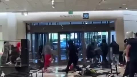 A gang of criminals destroyed a Nordstrom store in a mall in California yesterday