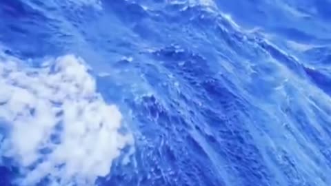 ⚓MAR 5⚓