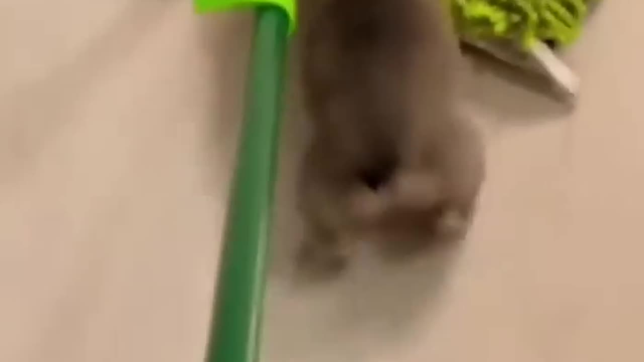 Best Funny Videos 🤣