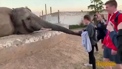 Funny Viral video