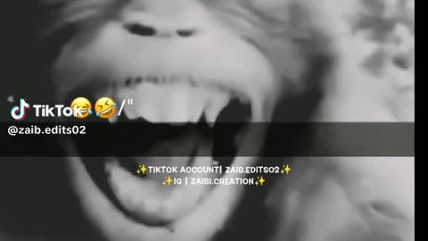 funny video of funny people