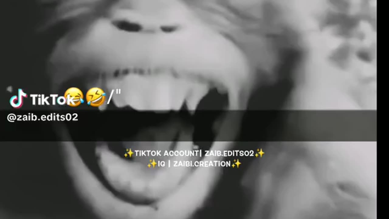 funny video of funny people