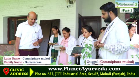 Common Herbal Plants - How to Grow & Medicine Uses by Dr. Vikram Chauhan