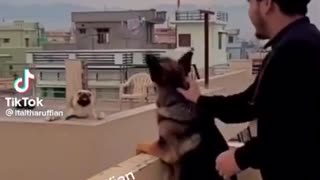 Anything A Anything 😂😆