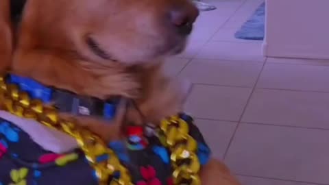 Best Funny Video 2023