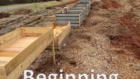 Startup of planter box garden
