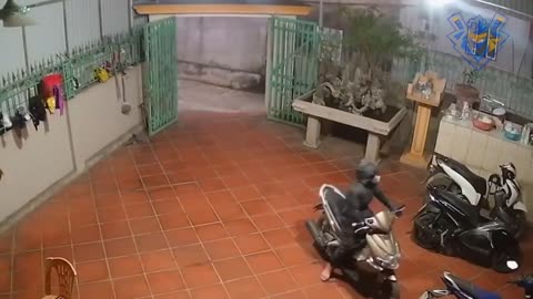 Funny animal attack. 99% try very hard to not laugh.