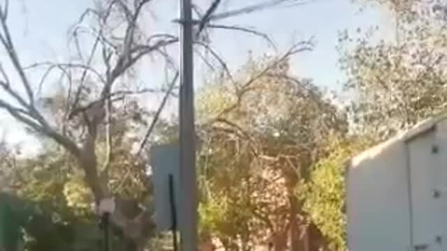 think of a mad driver