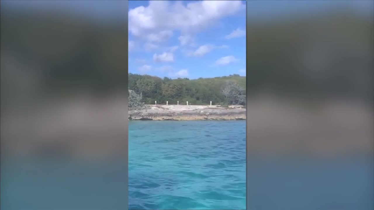 Exhuma Water Sports Bahamas 🐕 A dog jumps in the water and attacks a 12 foot shark 🦈
