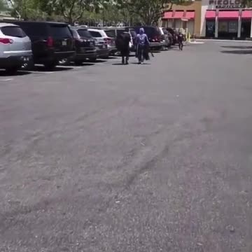 Yet Another Viral Video Shows Consequences of San Francisco's Weak-on-Crime Policies