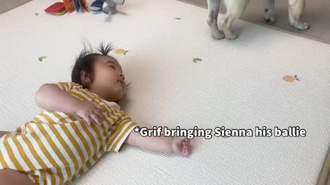 6 Months Of Friendship In 6 Minutes _ My Dog Loves Our Baby