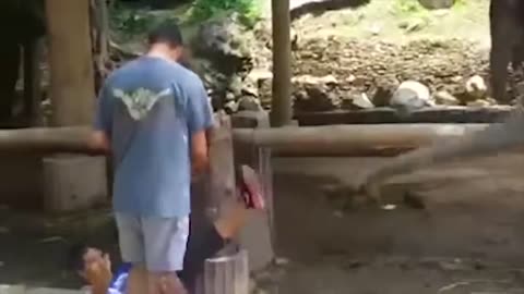 🙉 Funny Dogs, Cats and Animals Videos 🤩 TRY Not to Laugh!