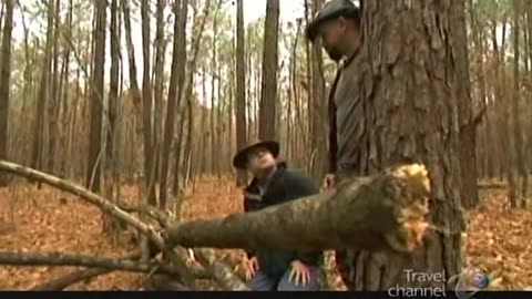 East Texas Bigfoot