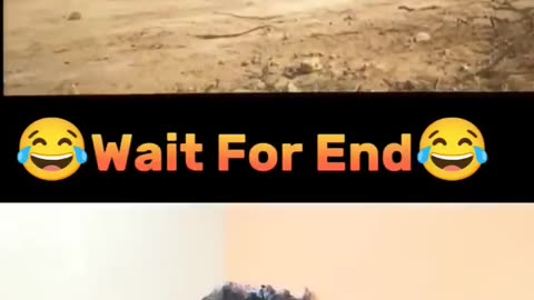 गजब के Satisfying Videos का तूफान 😍 - Amazing Satisfying Videos #shorts 0:50