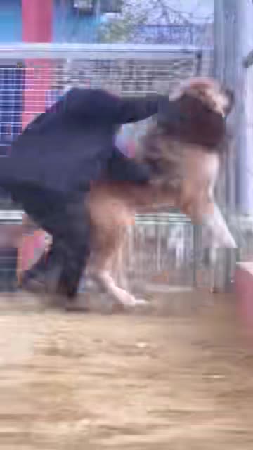 This dog nearly hurts the owner