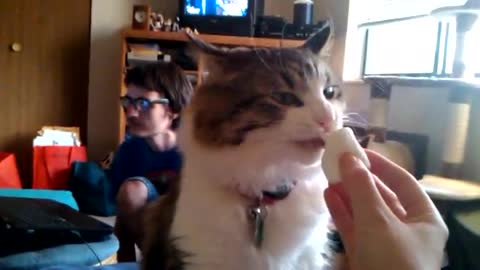 Missie really loves marshmallows