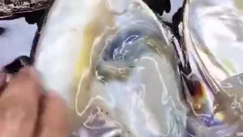 Oddly Satisfying video #54