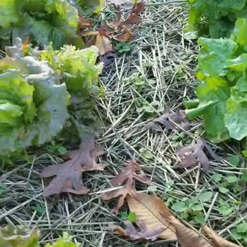 Blessed Beyond Measure