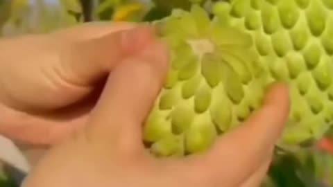 Custard apple