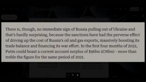 The Sanctions Hurt Us & Have Massively Helped Putin In The War Against Ukraine