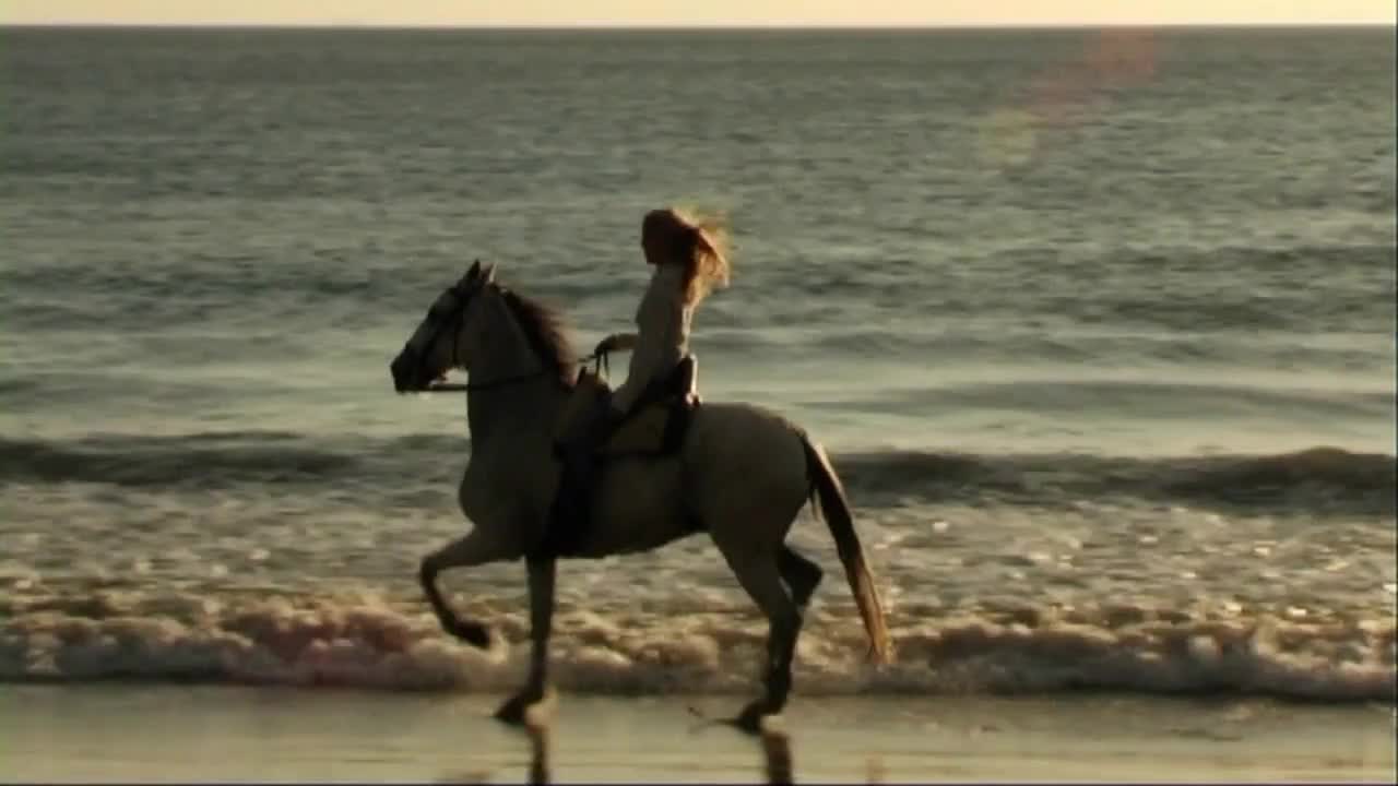 Woman on horse at seashore, riding through surf