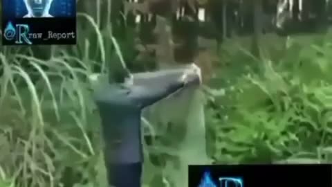 Invisibility Cloaking Is Real Not Sci-Fi