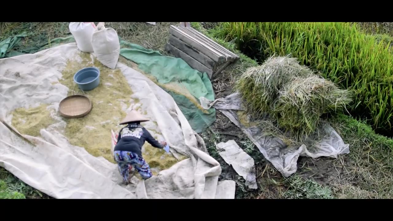 Nature Cinematography