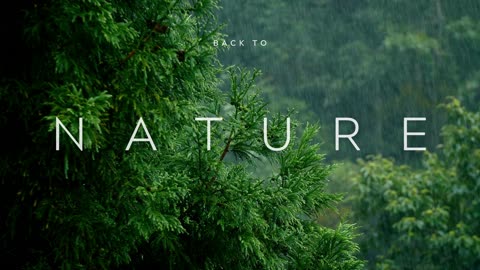 Rain in the forest