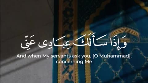 Quran Translation