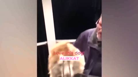 1 HOUR funniest & Clumsy Cats & Dogs videos
